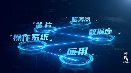東吳證券信息技術(shù)總部 業(yè)技融合，開啟數(shù)字化加速度——卅載卅人第6期數(shù)字技術(shù)服務(wù)篇